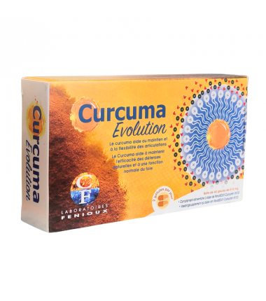 CURCUMA EVOLUTION - 60 gélules