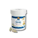 Design sans titre (80).webp