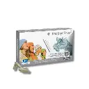 Design sans titre (81).webp