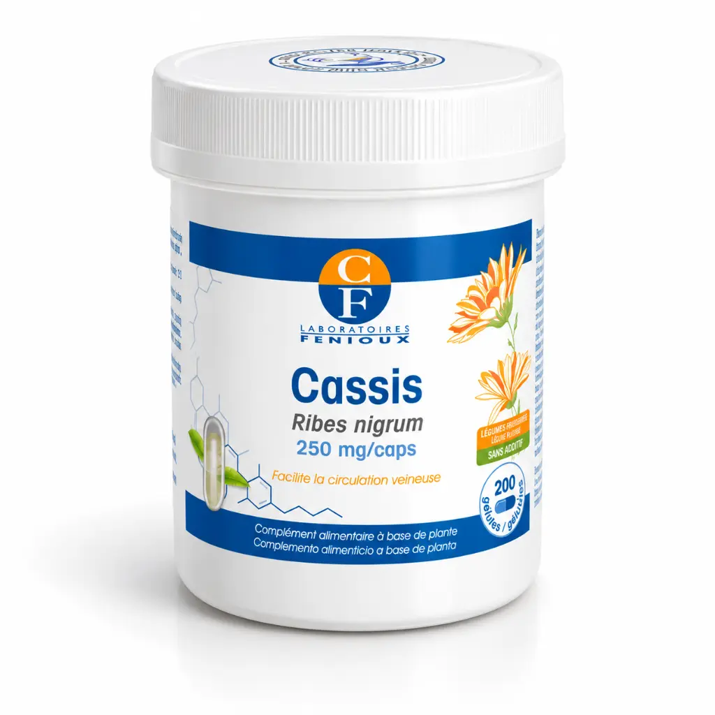 CASSIS SANS G.webp