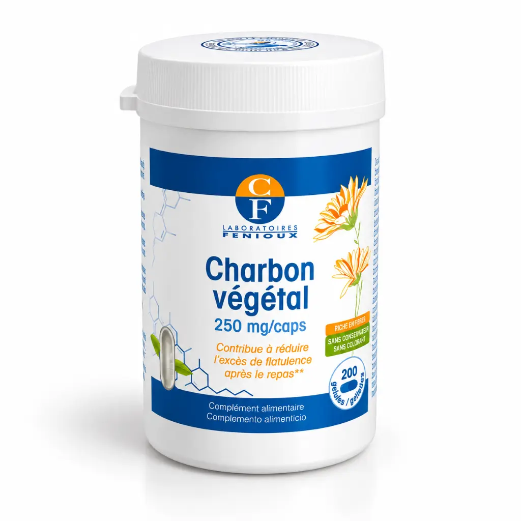 CHARBON VEGETAL SANS GELULES.webp