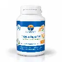 enzyme_digest_fort_sans_gelules.webp