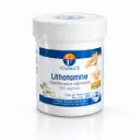 Lithotamne.webp