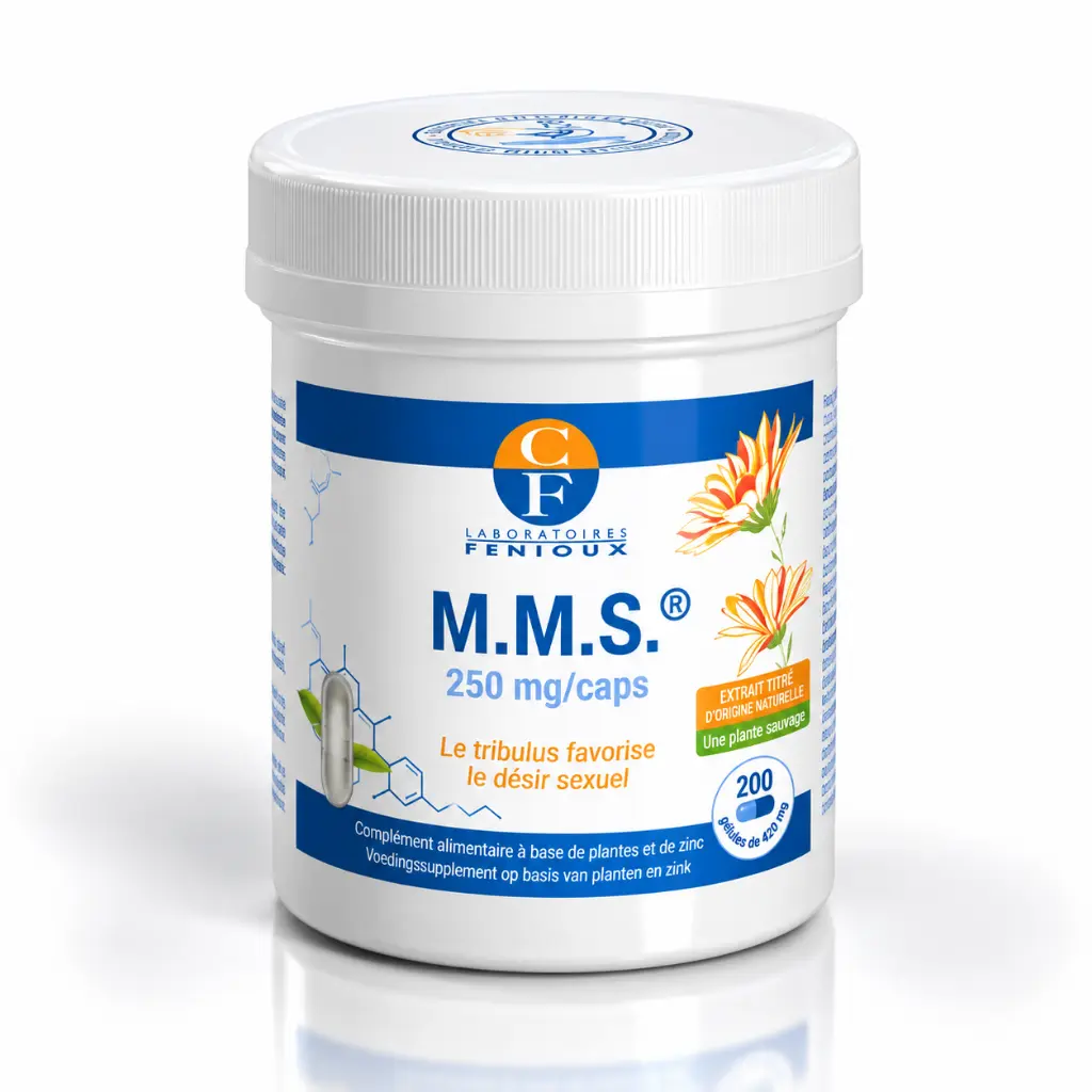 mms.webp