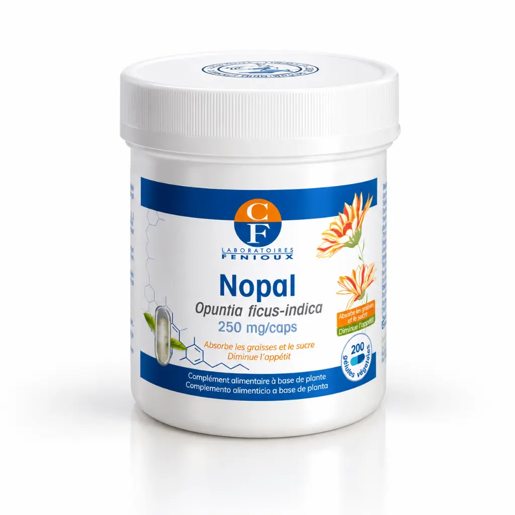 nopal.webp