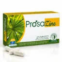 PROSAZINC - 60 gélules
