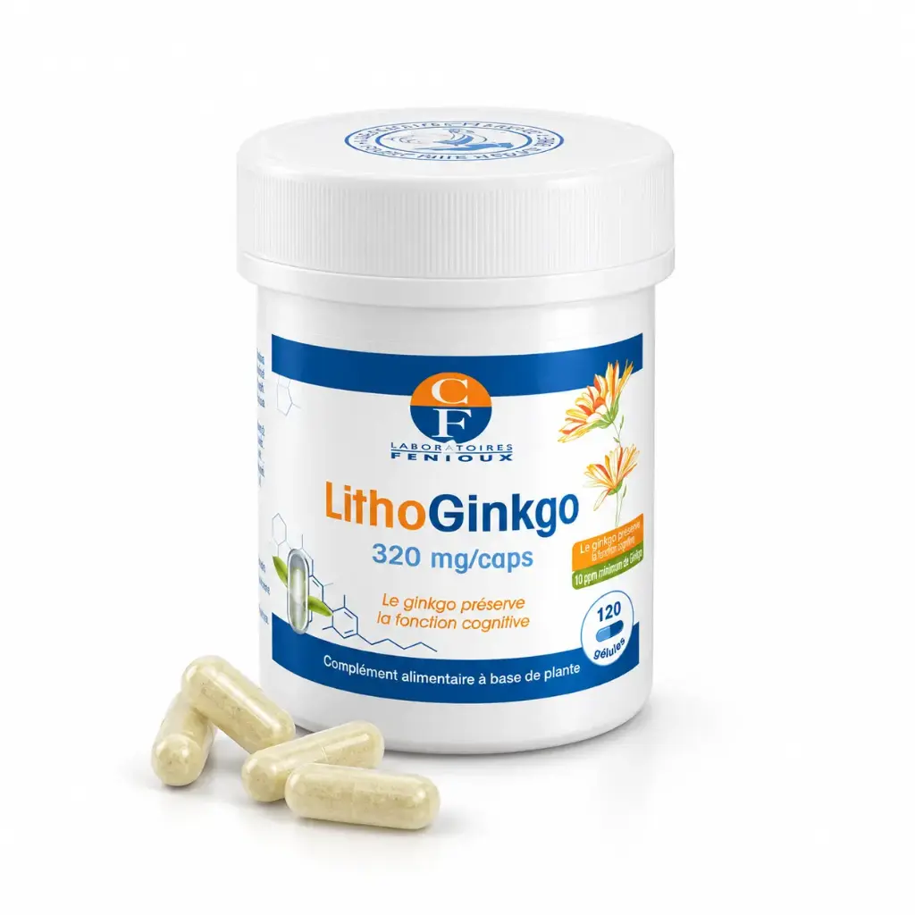 LITHOGINKGO BILOBA 120 gélules