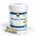 MILLEPERTUIS-MELISSE - 200 gélules