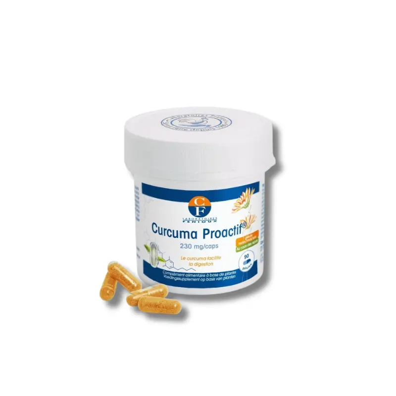 CURCUMA PROACTIF - 2X90 gélules