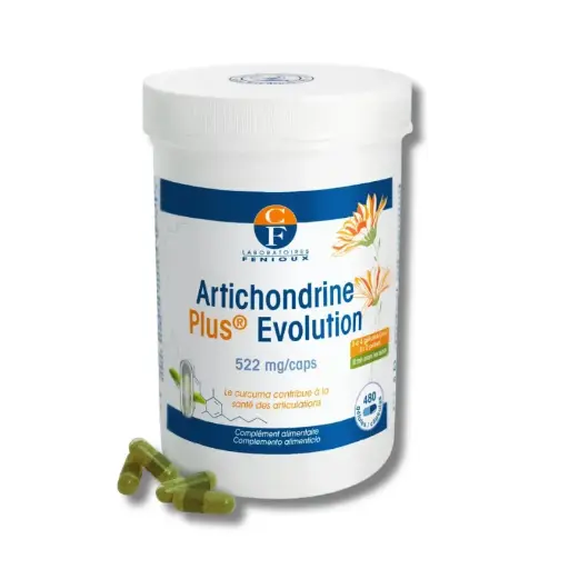 [G129] ARTICHONDRINE PLUS EVOLUTION - 480 gélules