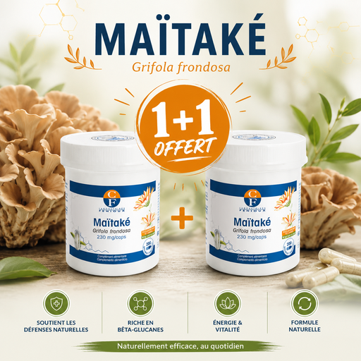 [G363] MAITAKE - 200 gélules