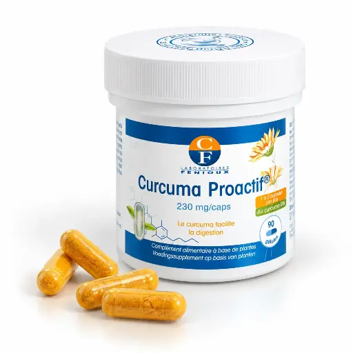 [G672B] CURCUMA PROACTIF - 2X90 gélules
