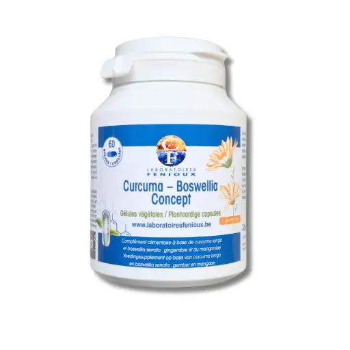 [G794] CURCUMA-BOSWELLIA CONCEPT 60 gélules
