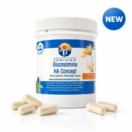 GLUCOSAMINE HA CONCEPT - 270 gélules